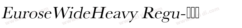 EuroseWideHeavy Regu字体转换